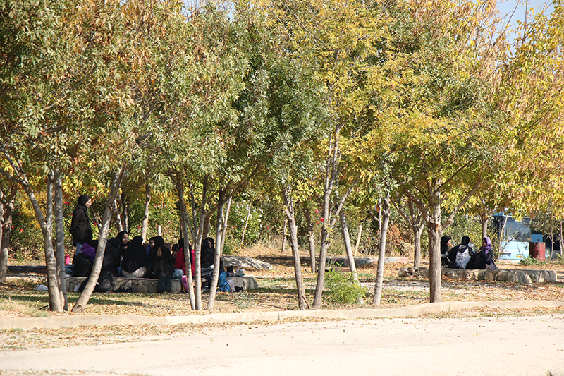 گزارش تصويري از برگزاري اردوي دانشجويان ورودي جديد دانشگاه ايلام به  منطقه گردشگري «کيان» ايوان