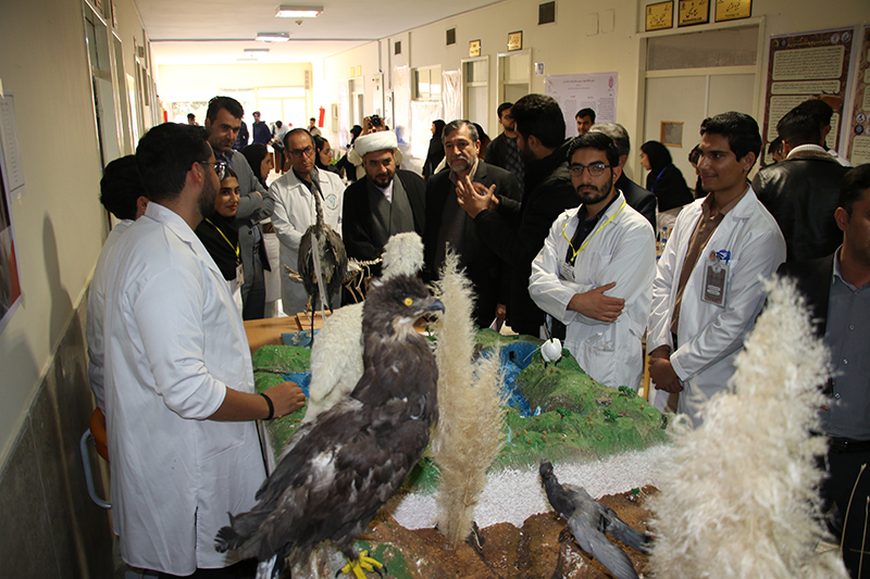 برگزاري نمايشگاه علوم دامپزشکي و غذايي