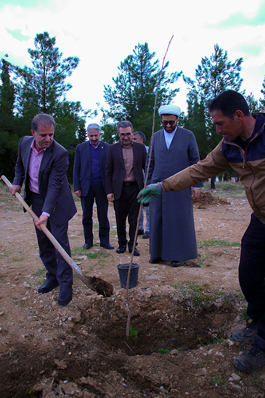 برگزاري آيين کاشت درخت در دانشگاه ايلام 