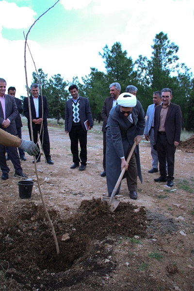 برگزاري آيين کاشت درخت در دانشگاه ايلام 