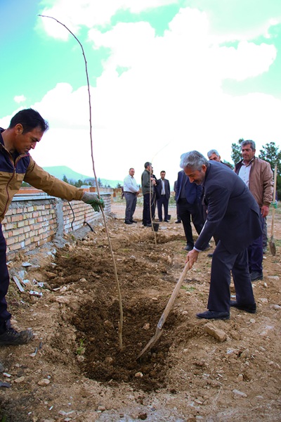 برگزاري آيين کاشت درخت در دانشگاه ايلام 