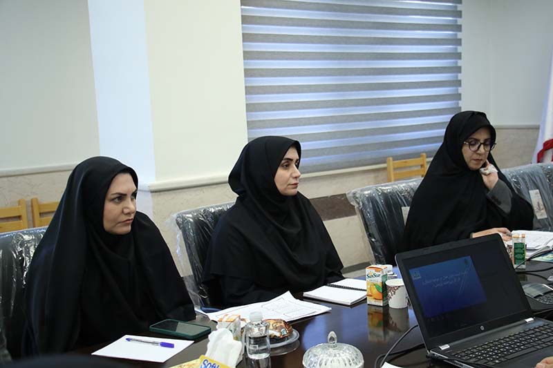 برگزاري پيش‌نشست جلسه کميته زنان فعال در حوزه اشتغال و کار آفريني